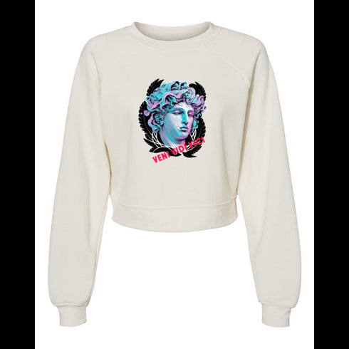VENI VIDI VICI Bella canvas hoodie 7505